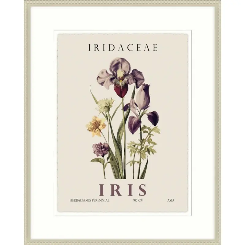 Artko 42cm Iris Framed Print By Christopher Glampleto
