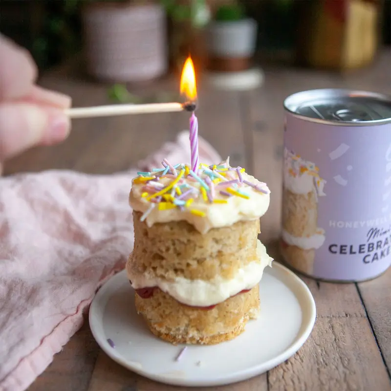 BAK2037 - Mini Celebration Cake Kit