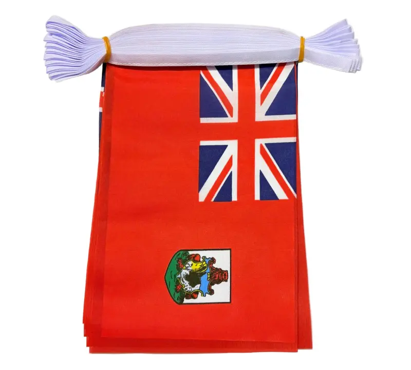 Bermuda Bunting
