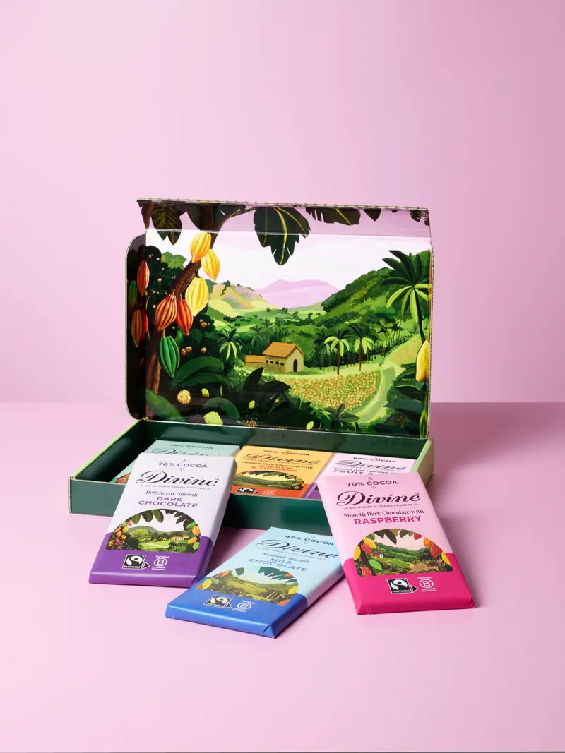 Chocolate Lover's Gift Box - Mixed