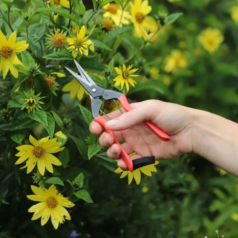 Garden Snips