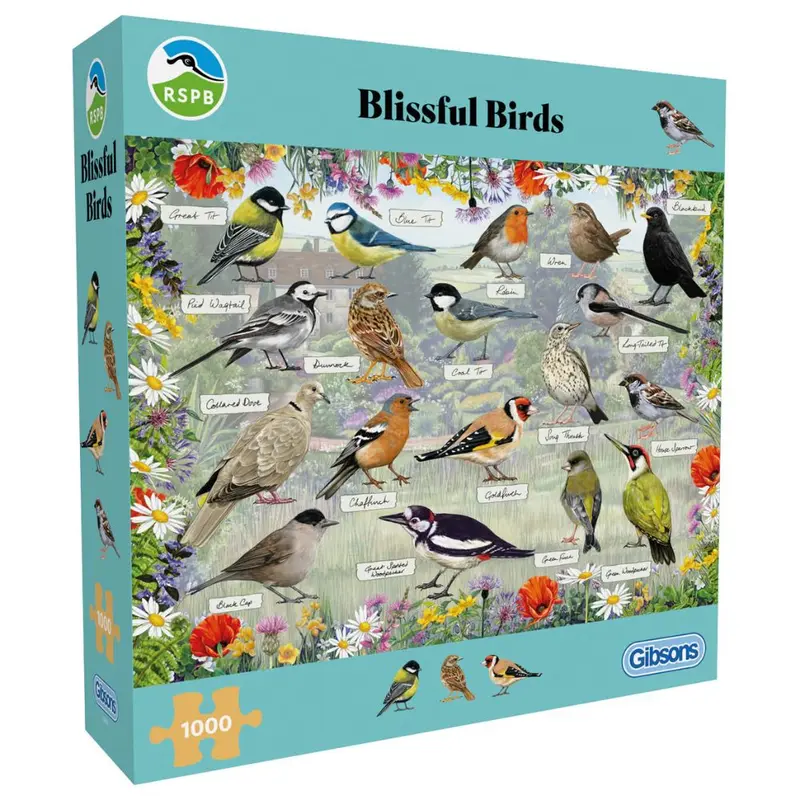 Gibsons  Games RSPB