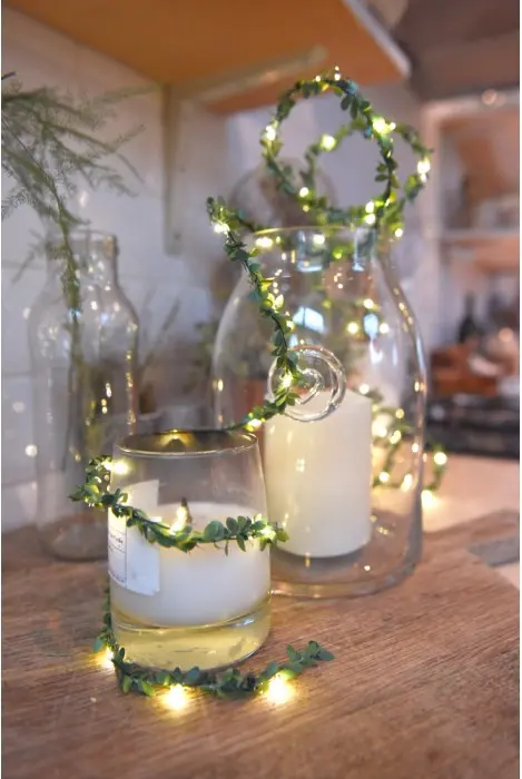 Greenery fairy lights