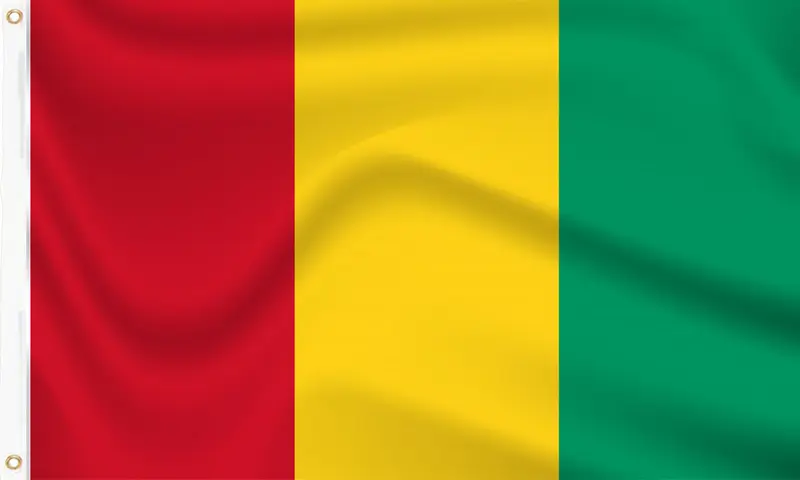 Guinea Flag