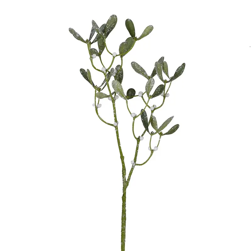 Large Mistletoe Stem - 80cm