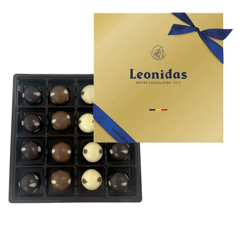 Mushroom Chocolates Gift Box