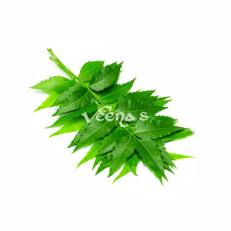 Neem Leaves 200g (Approx)