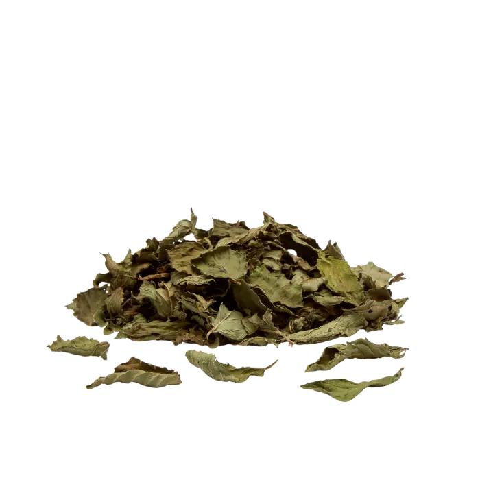 Peppermint