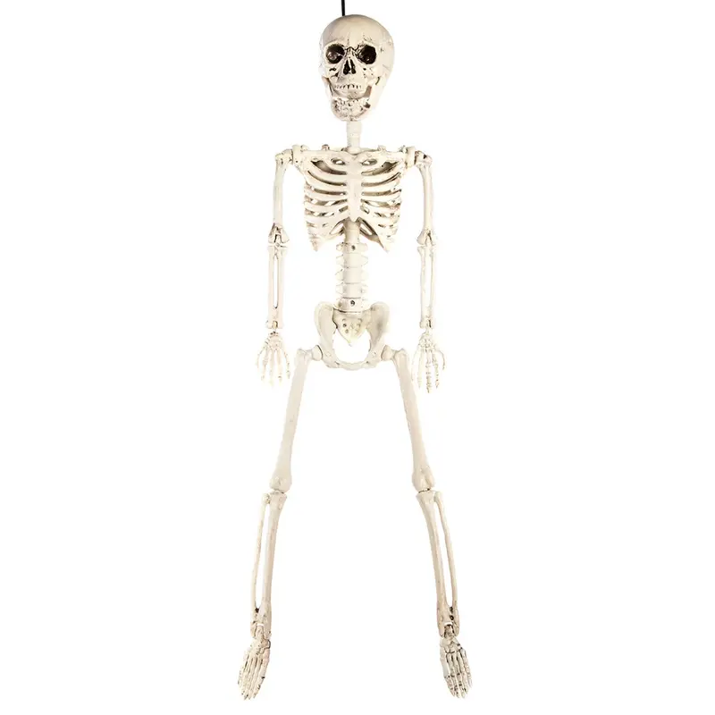 Premier 60cm Hanging Posable Skeleton
