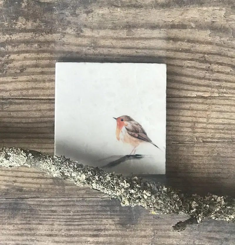 Robin natural marble stone platter