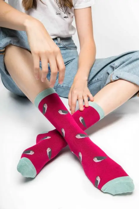 Robin red ladies socks
