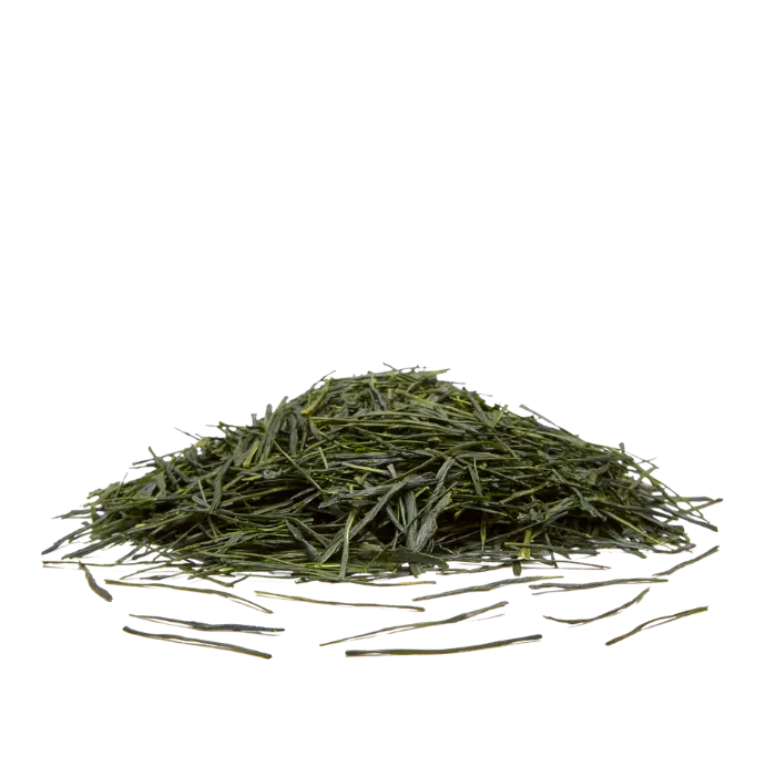 Sencha