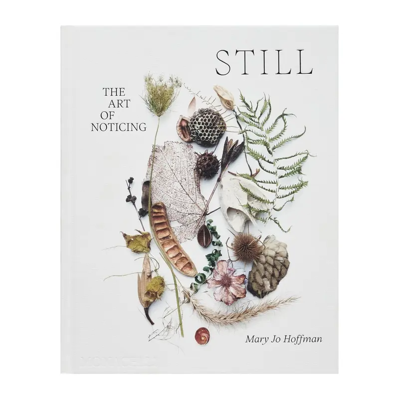 'STILL