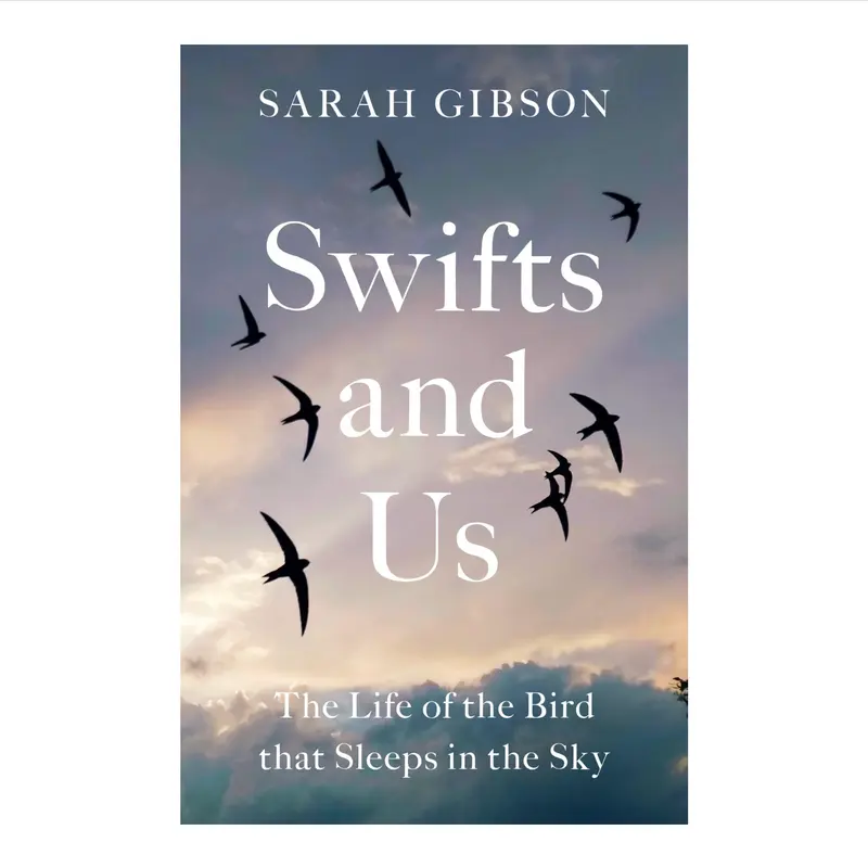 'Swifts and Us' Book
