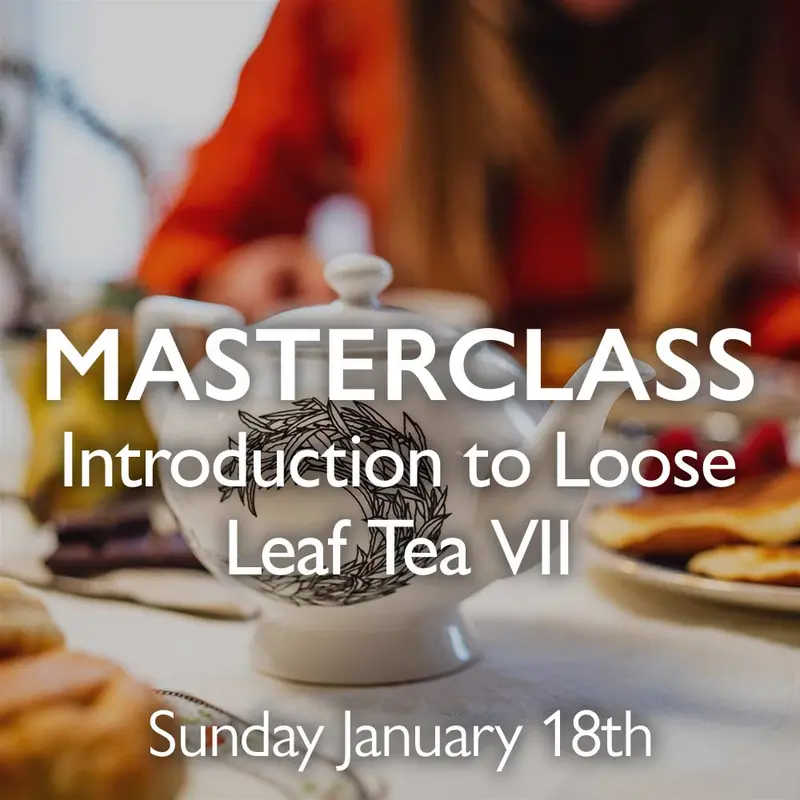 Tea Masterclass - Introduction to Loose Leaf Tea VII