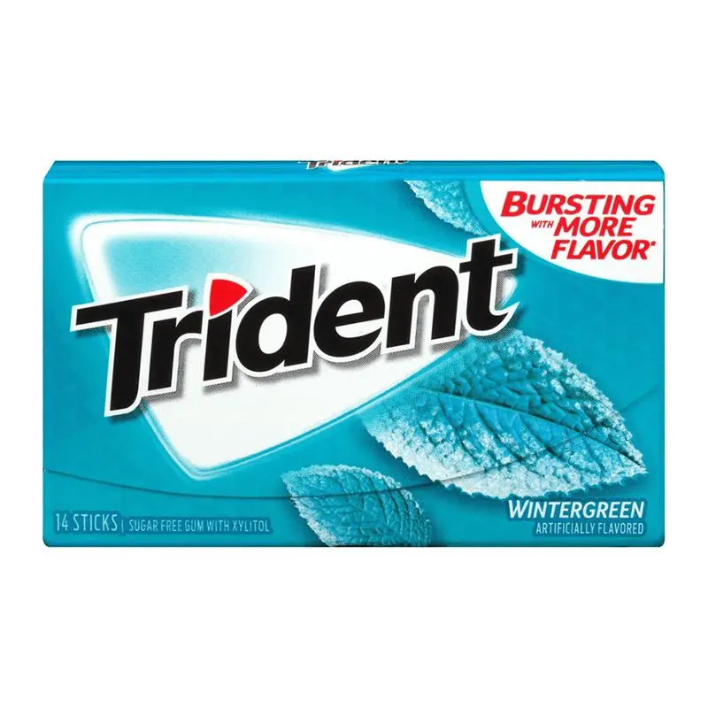 Trident Wintergreen Gum 31g