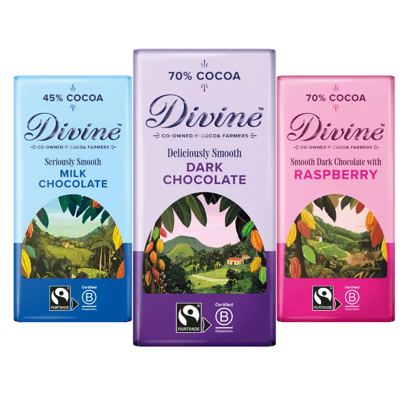Variety Bundle - 3 Pack