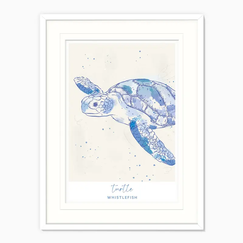 WF041293F - Turtle Large Framed Print