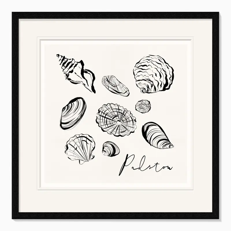 WF1104F - Padstow Shells Framed Print