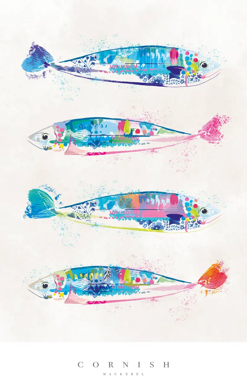 WF656P - Cornish Mackerel Large Art Print